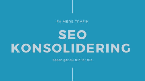 seo konsolidering